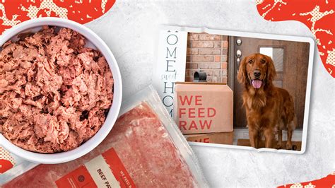 This company is the pioneer of raw dog food. . Wefeedraw