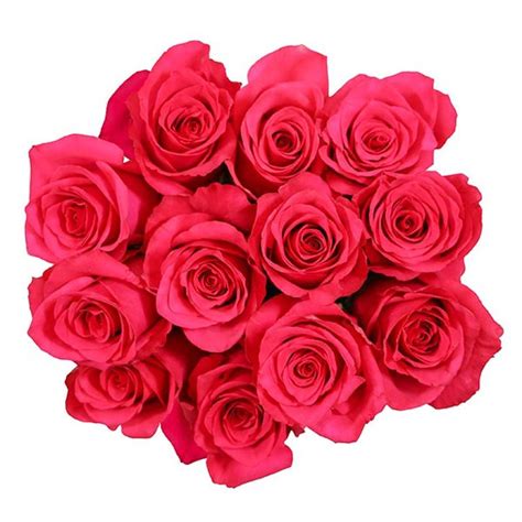 Wegmans Dozen Roses, (12 ST) $12.00 /ea. 1 Count Bouquet ($12.00/count bouquet). 