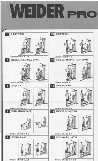 Weider pro 4500 weight system exercise guide. - Hands of light guide to healing through the human energy field.
