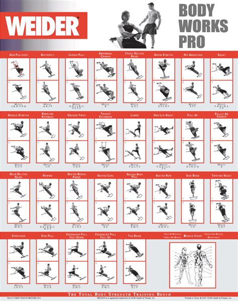 Weider total body works 5000 workout guide. - Snco academy air force study guide.