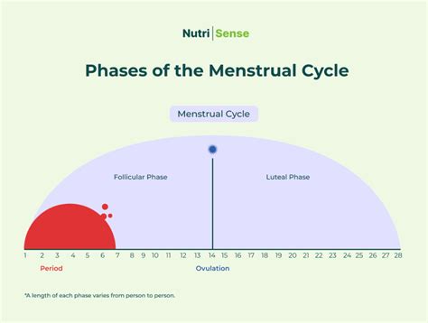 Weight Gain During Period? Or Before? — MyFitnessPal.com