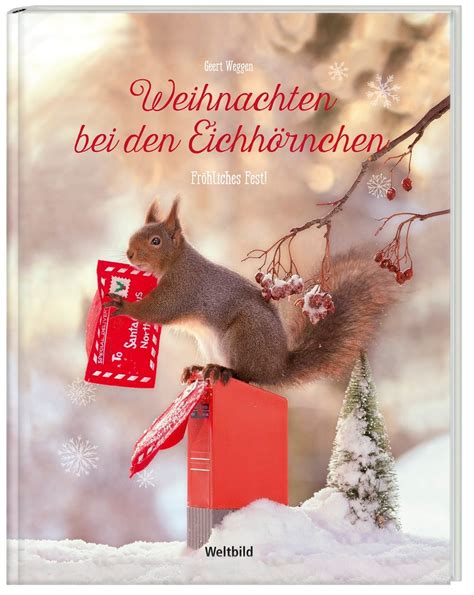 Weihnachten bei den eichhörnchen. - E46 m3 coupe manual for sale.