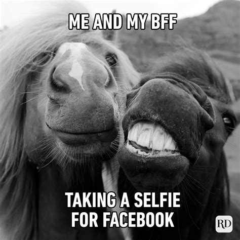 Sep 9, 2020 - Explore Grace Thibodeau's board "funny friend pictures" on Pinterest. See more ideas about funny, funny quotes, funny memes.