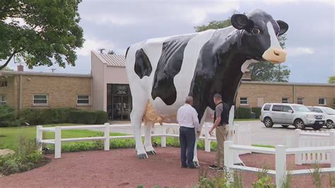 Welcome to Lake Cow-nty: Giant cow sculpture pays homage to farmers and land — it just needs a name