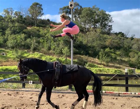 Welcome to Wellington Park Equestrian - Wellington Park …