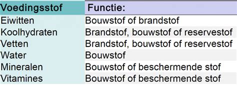 Welke functies heeft water
