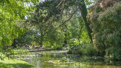 Wellness Wanders - Cambridge Botanic Garden