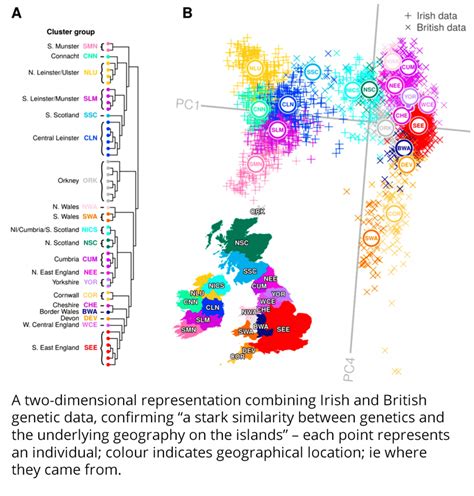 Welsh ancestry traits.  Their findings show that the Irish have considera...