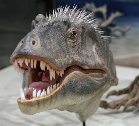 Were dinos real. May 31, 2020 · Yet still everyone has accepted the “bellow” and roar as the official noise of all dinosaurs. People want to believe in these assumptions about dinosaurs as bad as the paleontologists want people to believe it. 4. They Have Feathers Now. This is what “experts say the Velociraptor looks like now” – Source. 