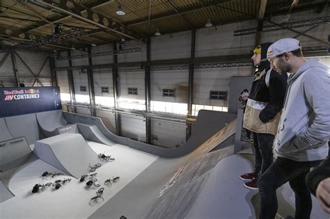 Wereldtop zelfs verbaasd over next level BMX-park - Metronieuws.nl