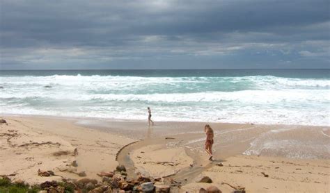 Werrong Beach track NSW National Parks