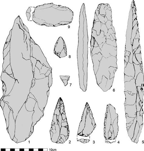 West African Late Stone Age SpringerLink