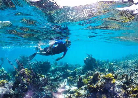 West Caicos Reef Diving (Turks and Caicos) - Tripadvisor