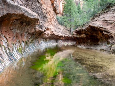 West Fork Trail (#1) [CLOSED] - AllTrails.com