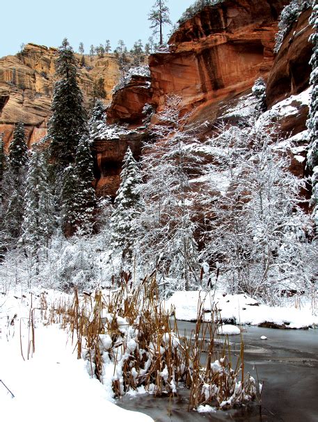 West Fork Trail Sedona Monthly