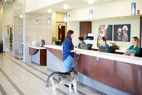 West coast animal hospital. Things To Know About West coast animal hospital. 