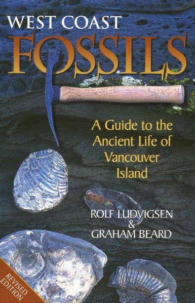 West coast fossils a guide to the ancient life of vancouver island. - Decisões e processos do acordo - como garantir a satisfação de todos os intervenientes -.