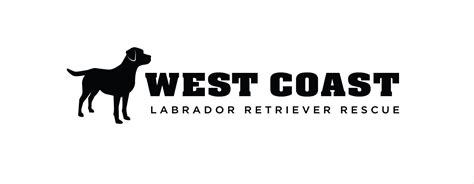 West Coast Labrador Retriever Rescue was established out of a growing need to rescue abandoned and unwanted Labradors and Goldens in the Southern California area. WCLRR is a 501 (c) (3) all-volunteer, nonprofit rescue organization. Every volunteer, adopter, and team member is important to West Coast Labrador Retriever Rescue.. 