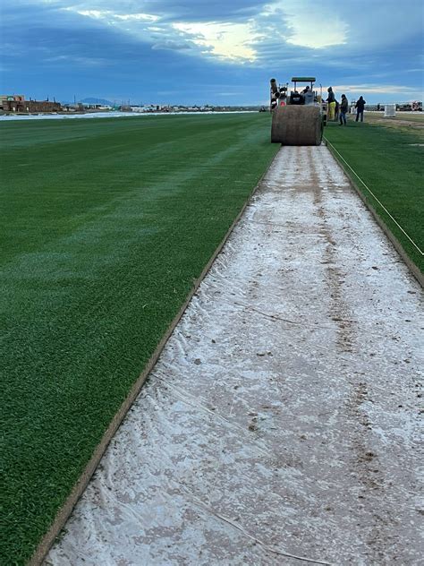 West Coaster was bred for its high turf quality. It also has great disease resistance, good salt tolerance, can withstand heat up to 110 degrees F, and is slower growing. "This grass has many positives, but one of the most important to us is its drought tolerance. It uses less water than the older tall fescue varieties," Foster said.. 