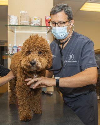 West loop vet. West Loop Veterinary Care Chicago, Illinois. 572 reviews. Book an appointment. Online booking unavailable. Please call (312) 421-2275. or. ASK A VET ONLINE *with JustAnswer. Reviews: West Loop Veterinary Care (Chicago) All reviews (572) Yelp (283) Google (289) Newest First. Newest First. Oldest First. Highest ... 