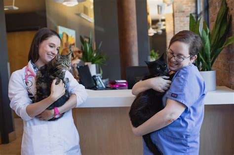 West loop veterinary care. West Loop Veterinary Care is offering a full-time hospital attendant position. We are looking for an individual who exhibits the passion for our mission of providing exceptional medical care to our patients and excellent service to our clients. In this position, you will find a positive environment, can communicate openly with coworkers and ... 