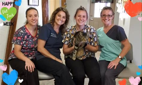 West manheim vet. Animal Hospital of West Manheim Veterinary Medicine. 5.0 1 review on. Website. Website: animalhospitalofwestmanheim.com. Phone: (717) 637-1220. Open Now. Mon. 7:30 AM. 6:00 PM. Tue. 7:30 AM ... Dr. Lyons and staff at the Animal Hospital of West Manheim are wonderful! Dr. Lyons is extremely competent, kind, and genuinely cares about animals! … 