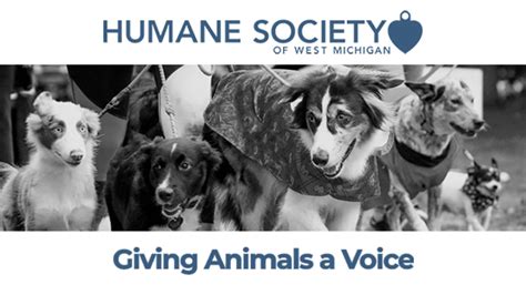 West michigan humane society. Michigan Humane creates thousands of new families each year as we adopt out companion animals. Search for your new friend at one of our animal shelters near you! Search available pets. Support Michigan Humane. 