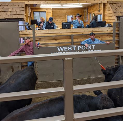 27 West Point Livestock, Feeders, Breds & Pairs, West Point, NE 28 Burwell Livestock, Special Calf & Feeder Auction, Burwell, NE 28 Drake Simmental, Bull & Female Sale, Centerville, IA. 