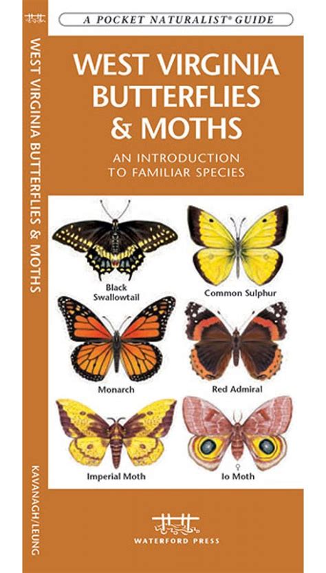 West virginia butterflies moths a folding pocket guide to familiar. - The winning delegate an insiders guide to model united nations.