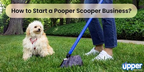 Westchester Florida Poop Scoop Company