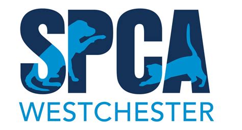 Westchester spca. SPCA Westchester, Inc. 590 North State Road, Briarcliff Manor, NY 10510 info@spcawestchester.org| 914-941-2896 Open Seven Days a Week: 12pm-4pm 