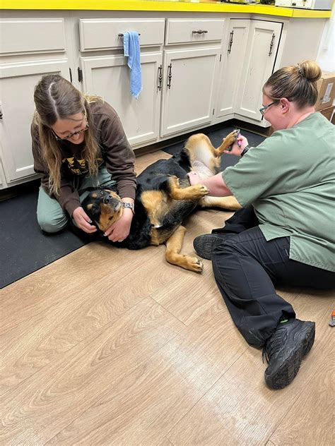 Western Reserve Animal Clinic