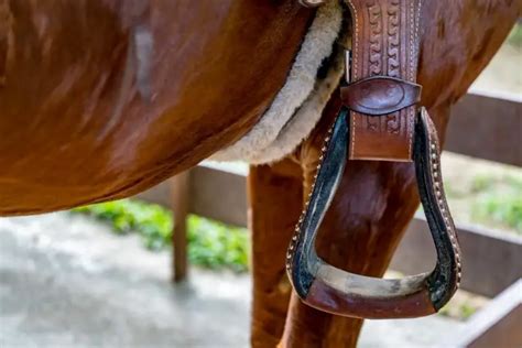 Western Stirrups Western Rider