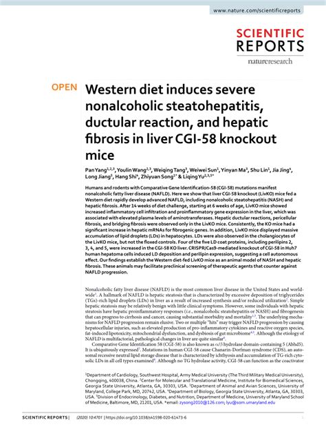 Western diet induces severe nonalcoholic steatohepatitis, ductular ...