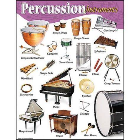 Western percussion instruments.  We will explore a wide variety of percussion...