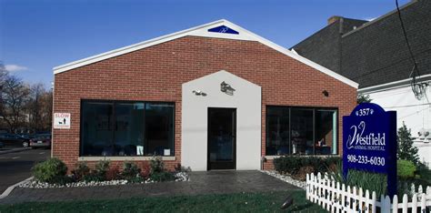 Westfield animal hospital. Things To Know About Westfield animal hospital. 
