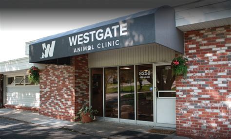 Westgate pet clinic. All professionals at West Gate Animal Clinic maintain the highest levels of accreditation and pursue ongoing education to stay abreast of the latest trends in the medical field. Read on to learn more about our staff's experience and training. Contact Us. Office Hours. Monday: 9:00 am-6:00 pm. Tuesday: 9:00 am-6:00 pm. 