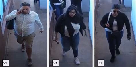 Westlake Village purse thieves sought by Sheriff's Department