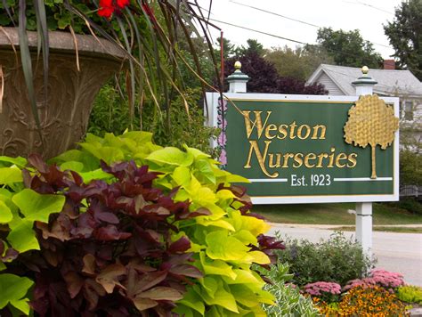 Weston nursery. About Weston Nurseries; Locations & Contact; Our Staff; Employment Opportunities; Join Our Mailing List; Locations. Hopkinton; Chelmsford; Hingham; Lincoln; Products & Services. In-Stock Plants; By The Yard; Firewood; Hardscape Solutions; Sod; Toja Grid; Services. Garden Coaching; At-Home Consultation; Potting Bar; Delivery & Installation ... 