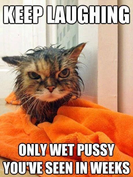 Wet kitty porn. Things To Know About Wet kitty porn. 