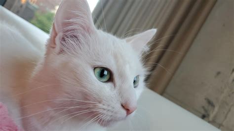 Wet pink pussy cumming. .  ...