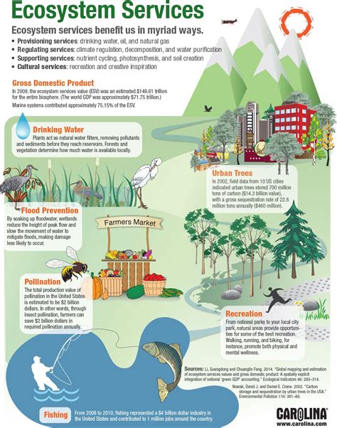 Wetland Ecology: Value and Conservation - South Carolina …