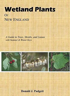 Wetland plants of new england a guide to trees shrubs and lianas. - Art critiques a guide second edition.