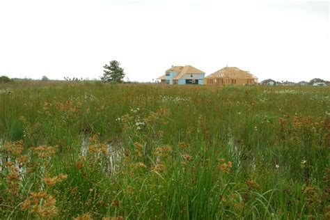 Wetlands development still on track, say town officials