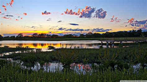 The Baker Wetlands is located on the south side of Lawrence in Douglas County in northeastern Kansas, approximately 45 miles west of Kansas City. The Discovery Center is located at 1365 N. 1250 Road, Lawrence, KS 66046. Check out the event on the Wetland’s Facebook site.. 