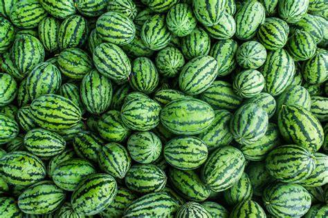 Wetmelons Free