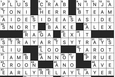 Wetsuit Vis A Vis Crossword