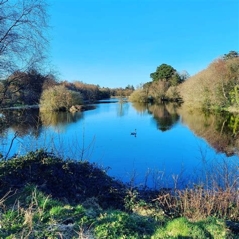 Wexford lakes. Things To Know About Wexford lakes. 