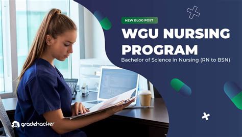 Wgu nursing program. This post shows possible college transfer credit for the B.S. Nursing - Prelicensure (Pre-Nursing) degree program at WGU when transferring courses from two WGU partners, Sophia Learning LLC (Sophia) and Study.com. The available Sophia transfer courses were combined with the rest of the available Study.com transfer courses to create this list. 