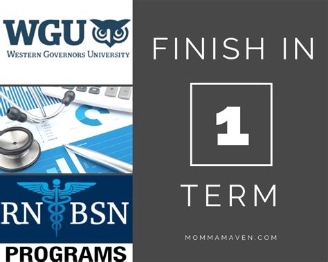 Wgu rn to msn. Things To Know About Wgu rn to msn. 